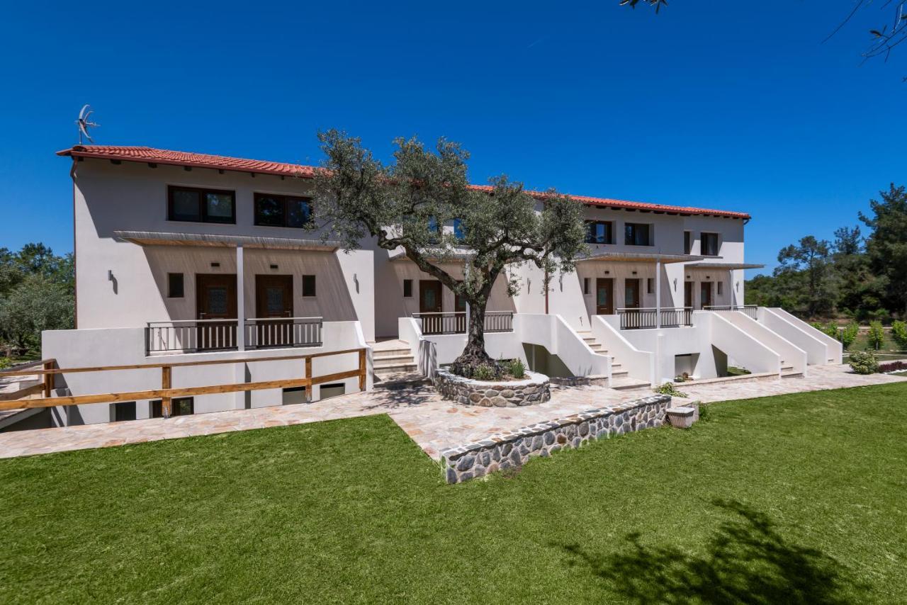 Dionysus Apartments & Suites Ierissos Exterior photo