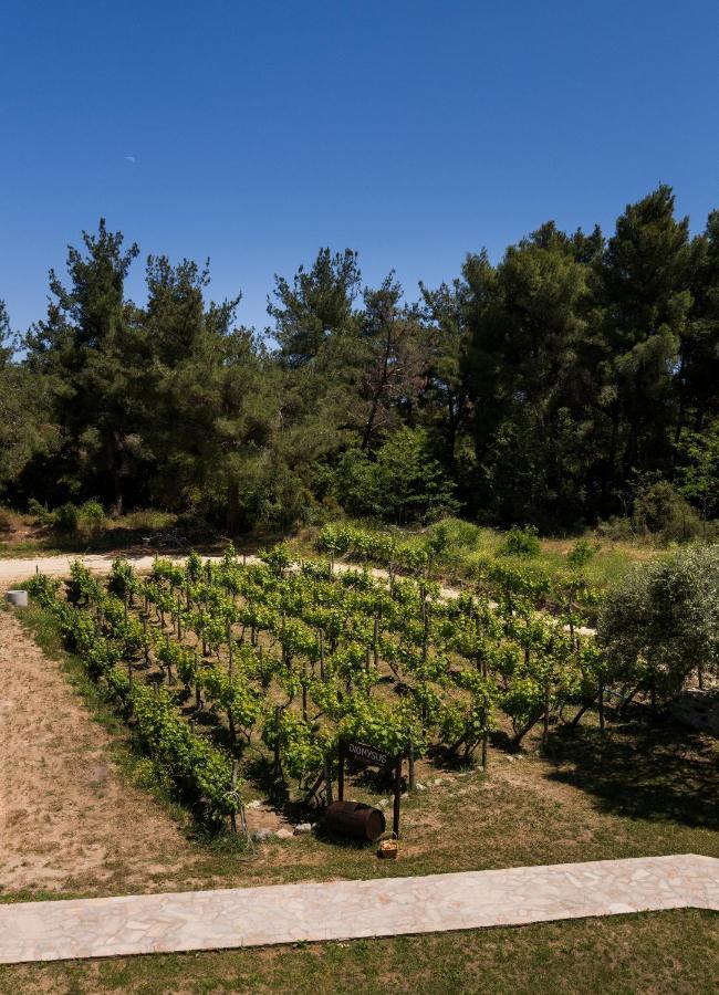 Dionysus Apartments & Suites Ierissos Exterior photo