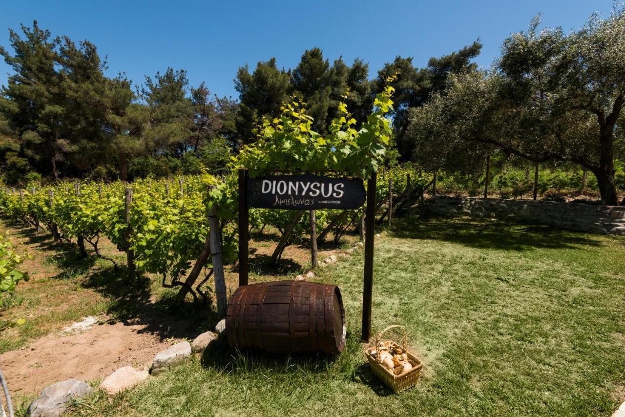 Dionysus Apartments & Suites Ierissos Exterior photo