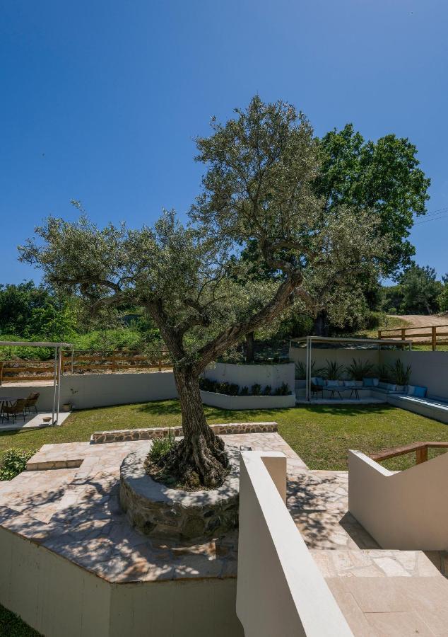 Dionysus Apartments & Suites Ierissos Exterior photo