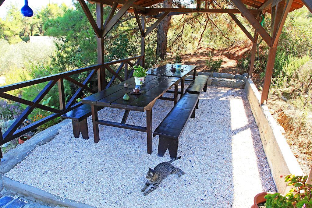 Dionysus Apartments & Suites Ierissos Exterior photo
